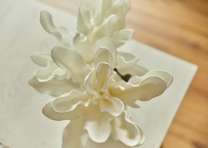 Reisezeit Apartamento *